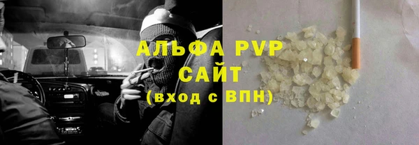прущие грибы Балабаново