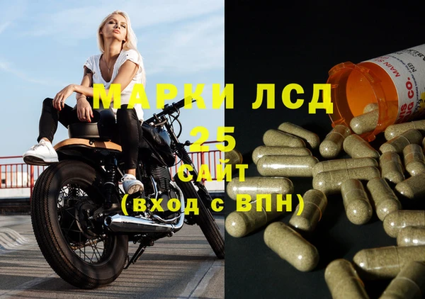ПСИЛОЦИБИНОВЫЕ ГРИБЫ Балахна