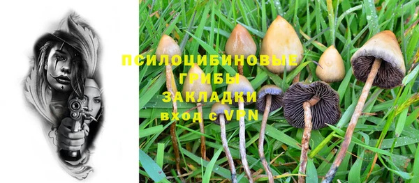 прущие грибы Балабаново