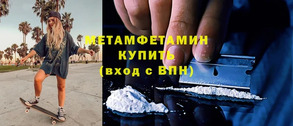 прущие грибы Балабаново