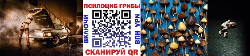 Галлюциногенные грибы прущие грибы  Кинель 